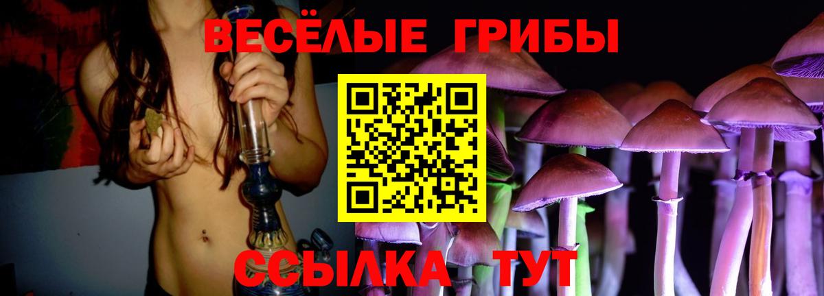 Галлюциногенные грибы Cubensis Кингисепп